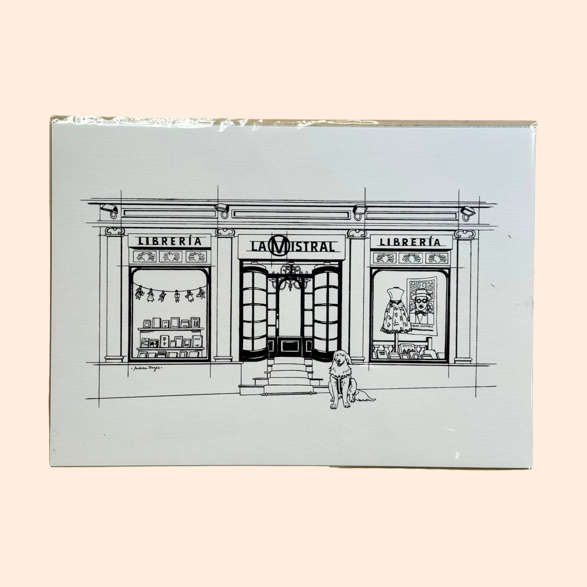 Lámina ilustrada de Librería La Mistral | Andrea Reyes | A4